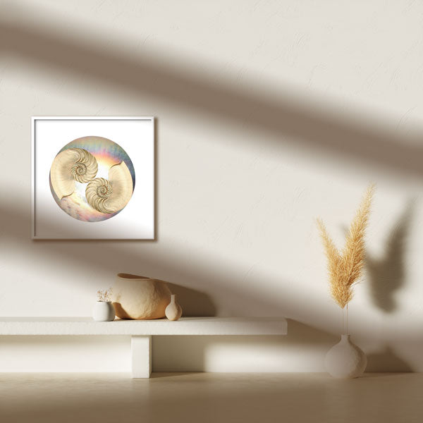 HARMONY ART Rainbow Shell Lovers Collage – MYSTIC MAMMA